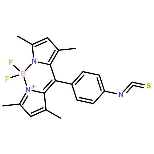 Bodipy Isothiocyanate