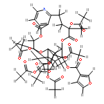 9'-O-acetylwilfortrine