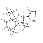 pallambin C