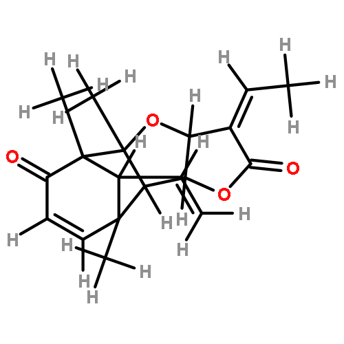 pallambin C