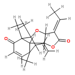 pallambin D