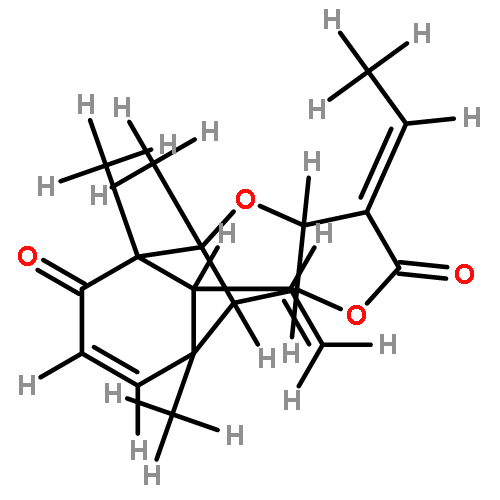 pallambin D