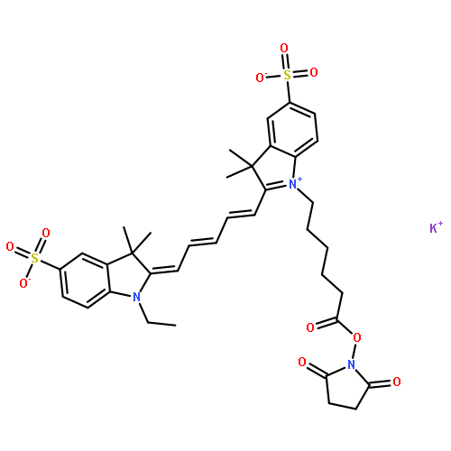 Cyanine 5 Monofunctional Hexanoic Acid Dye, Succinimidyl Ester, Potassium Salt