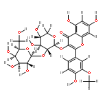 3'-O-methylquercetin 3-O-beta-D-galactopyranosyl-(1>2)-beta-D-xylopyranoside