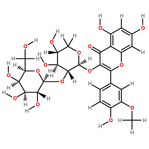 3'-O-methylquercetin 3-O-beta-D-galactopyranosyl-(1>2)-beta-D-xylopyranoside