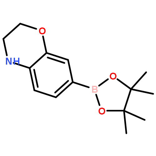 7-(4,4,5,5-Tetramethyl-1,3,2-dioxaborolan-2-yl)-3,4-dihydro-2H-benzo[b][1,4]oxazine