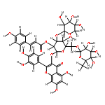 camelliquercetiside C