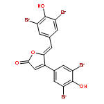 Rubrolide A