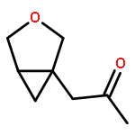 2-Propanone, 1-(3-oxabicyclo[3.1.0]hex-1-yl)- (9CI)