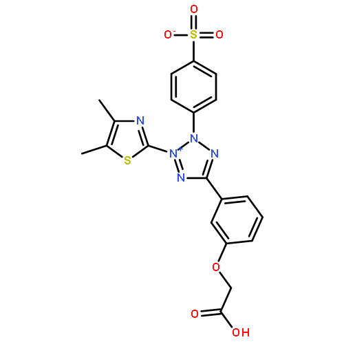 4-[5-[3-(carboxymethoxy)phenyl]-3-(4,5-dimethyl-1,3-thiazol-2-yl)tetrazol-3-ium-2-yl]benzenesulfonate