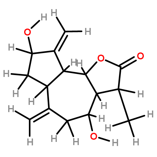 sausinlactones C