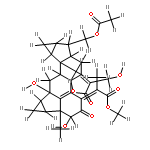 spicachlorantin G