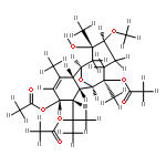 astrogorgin H