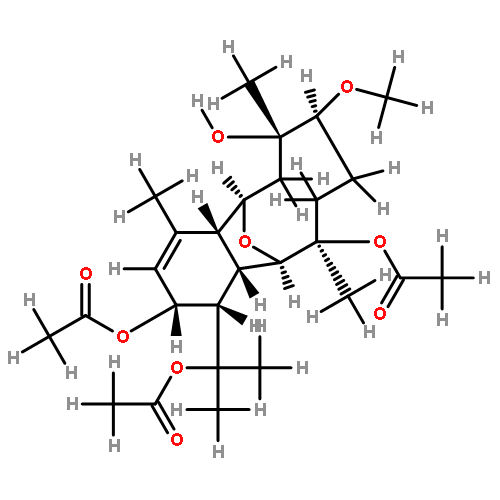 astrogorgin H