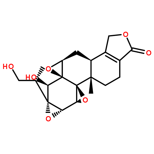 16-Hydroxytriptolide