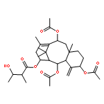 Butanoic acid,3-hydroxy-2-methyl-,(3S,4aS,5S,6S,7S,11S,12aS)-3,5,11-tris(acetyloxy)-1,2,3,4,4a,5,6,7,8,11,12,12a-dodecahydro-9,12a,13,13-tetramethyl-4-methylene-6,10-methanobenzocyclodecen-7-ylester, (2R,3S)-