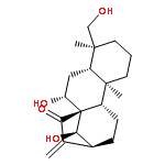 excisanin C