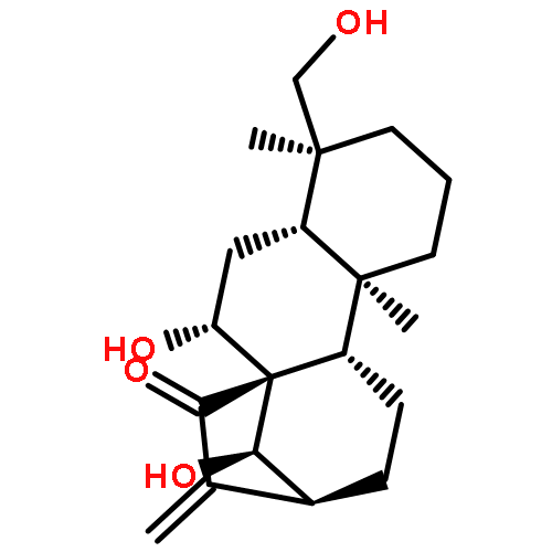 excisanin C