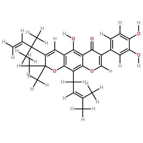 flemiphilippinin A