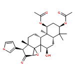 Grandifolione