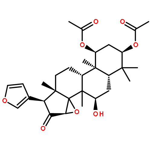 Grandifolione