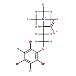 N/A