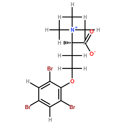 N/A