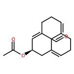 aristoyunnolin F