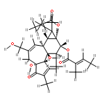 12-O-tiglylphorbol-13-propionate