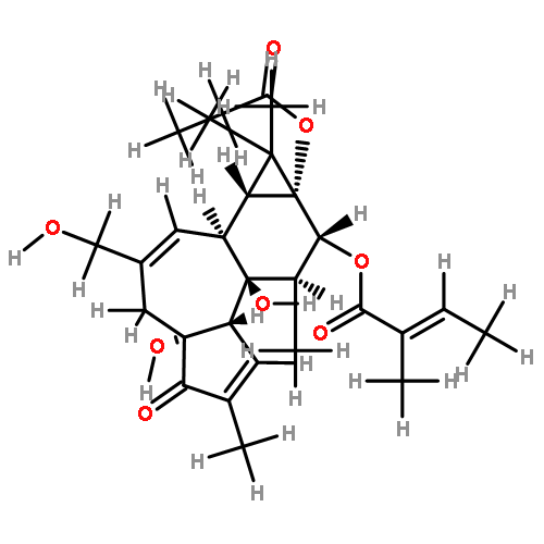 12-O-tiglylphorbol-13-propionate