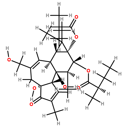 N/A