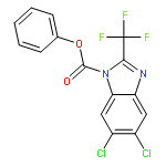 1H-Benzimidazole-1-carboxylicacid, 5,6-dichloro-2-(trifluoromethyl)-, phenyl ester