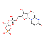 Uridine 5'-(tetrahydrogen triphosphate), 2'-O-methyl-