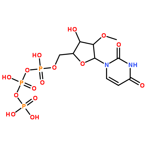 Uridine 5'-(tetrahydrogen triphosphate), 2'-O-methyl-