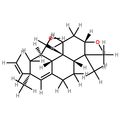 fokihodgin C