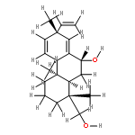 fokihodgin E