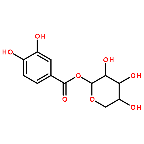 b-D-Xylopyranose,1-(3,4-dihydroxybenzoate)