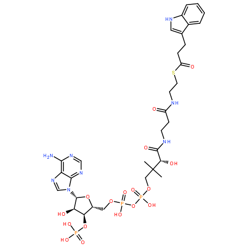 Coenzyme A,S-1H-indole-3-propanoate (9CI)