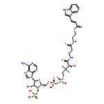 Coenzyme A,S-[(2E)-3-(1H-indol-3-yl)-2-propenoate] (9CI)