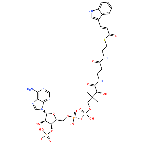 Coenzyme A,S-[(2E)-3-(1H-indol-3-yl)-2-propenoate] (9CI)