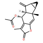 Chlojaponilactone B