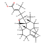 isoscoparin P