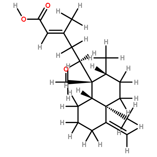 isoscoparin P