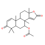 7alpha-Acetoxy-4,4,8-trimethyl-5alpha-17-oxa-androsta-1,14-dien-3,16-dione