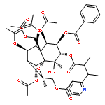 forrestine