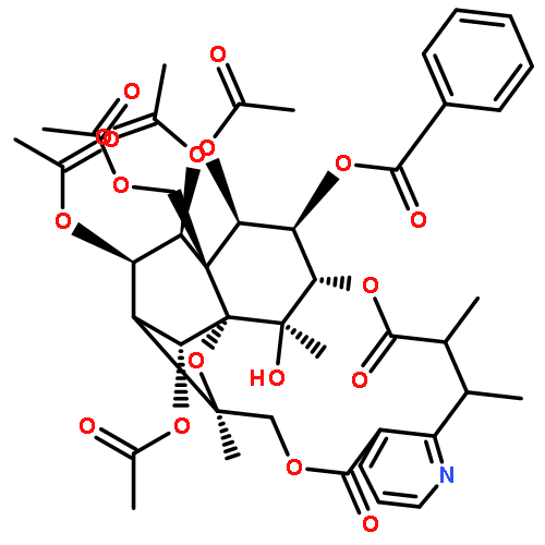 forrestine