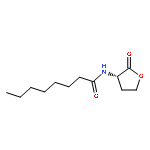 Octanoyl-L-homoserine lactone,HPLC>99%