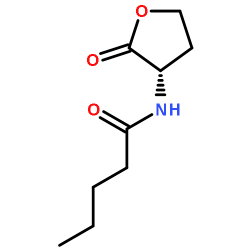 Pentanamide, N-[(3S)-tetrahydro-2-oxo-3-furanyl]-