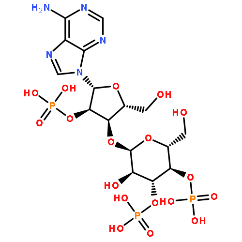 2'-Adenylic acid,3'-O-(3,4-di-O-phosphono-a-D-glucopyranosyl)-