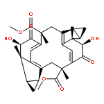 Cycloshizukaol A